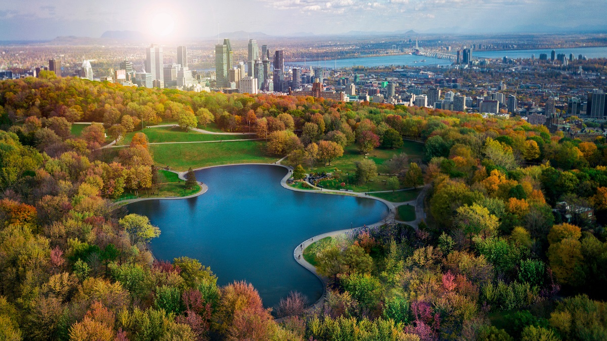 Chicago Skyline 600x400